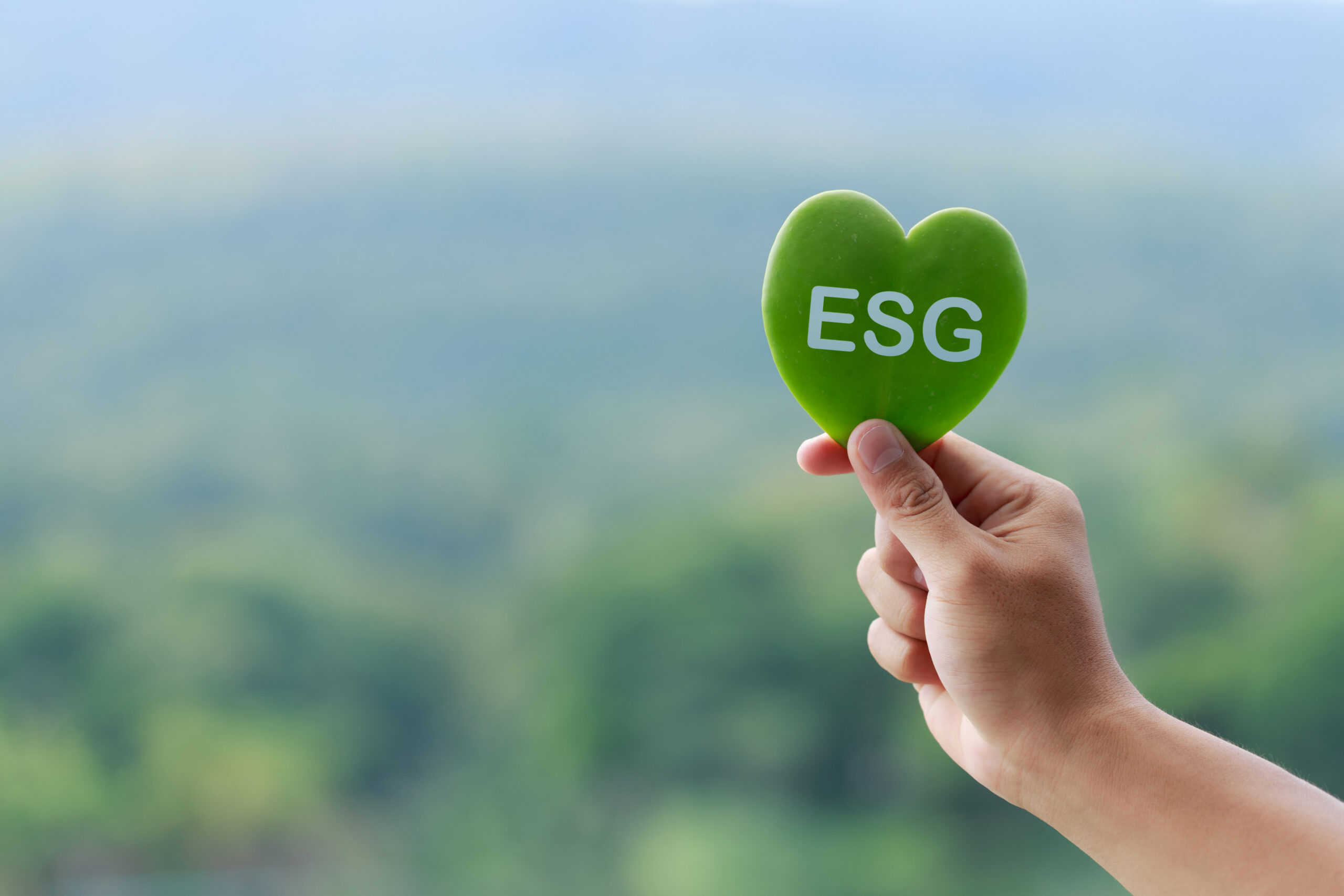 ESG Strategy & Integration: How Companies Embed ESG Into Long-Term Strategy