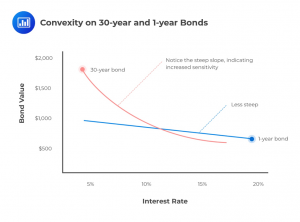 Convexity-on-30-year-and-1-year-Bonds