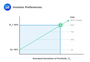 investor-preferences