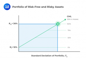 portfolio-of-risk-free-and-risky-assets