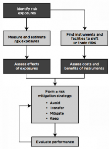 risk-management-structure