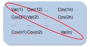 frm-variance-covariance-marix