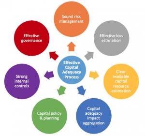 frm-part-2-effective-capital-adequacy-process