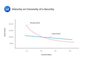 Maturity on Convexity of a Security