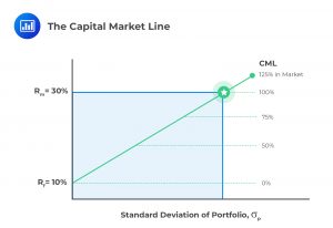 The Capital Market Line